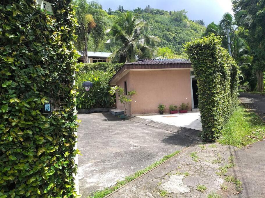 Vacation House In Tahiti Punaauia  Ngoại thất bức ảnh